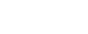 Boston Industrial Inc.